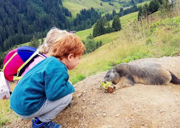 Hotel Des Portes Du Soleil 2*