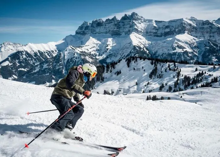 Des Portes Du Soleil Hotel Les Crosets
