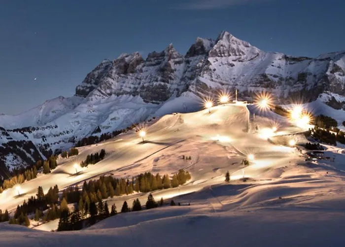 Des Portes Du Soleil Ξενοδοχείο 2*